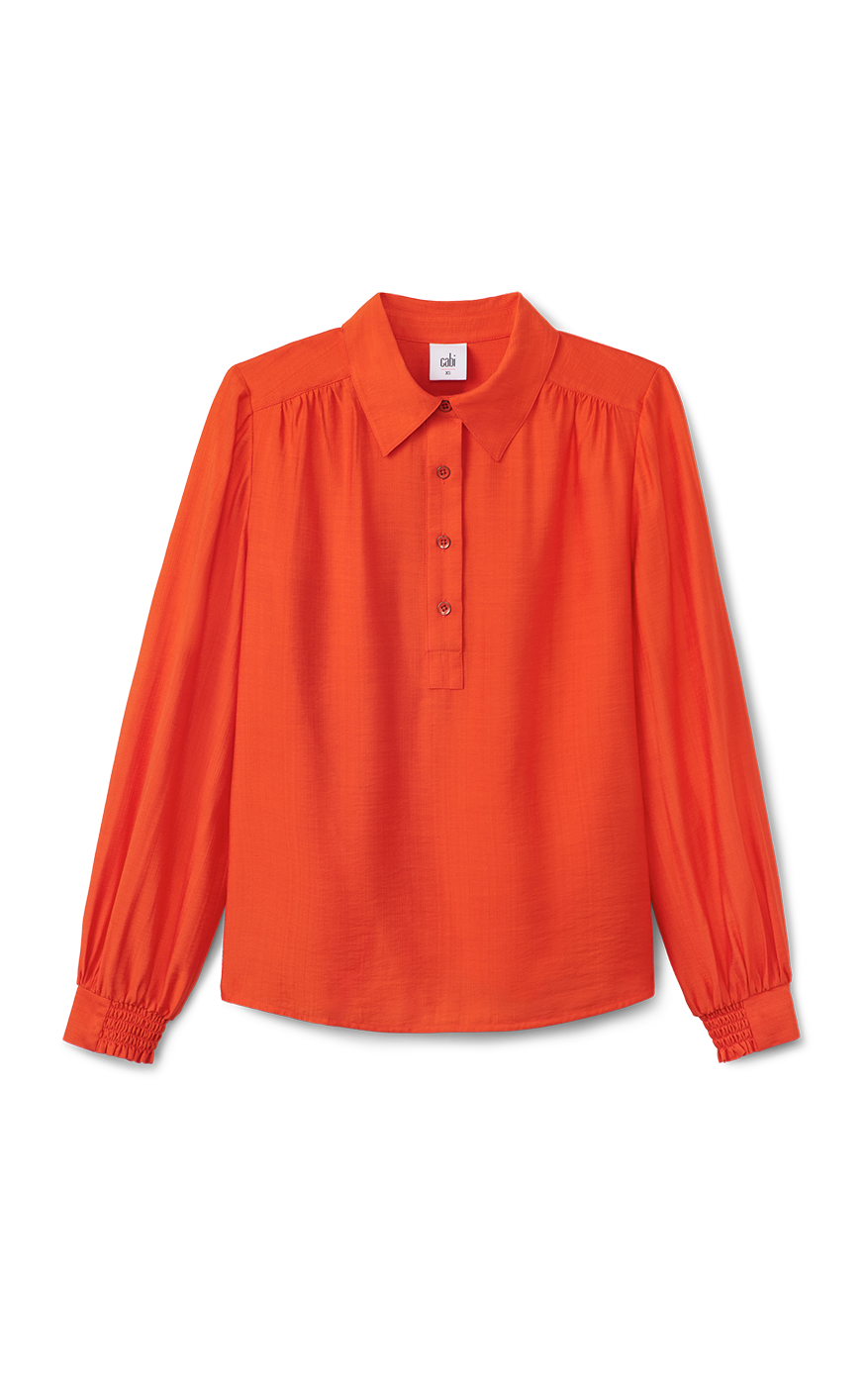 Posh Blouse