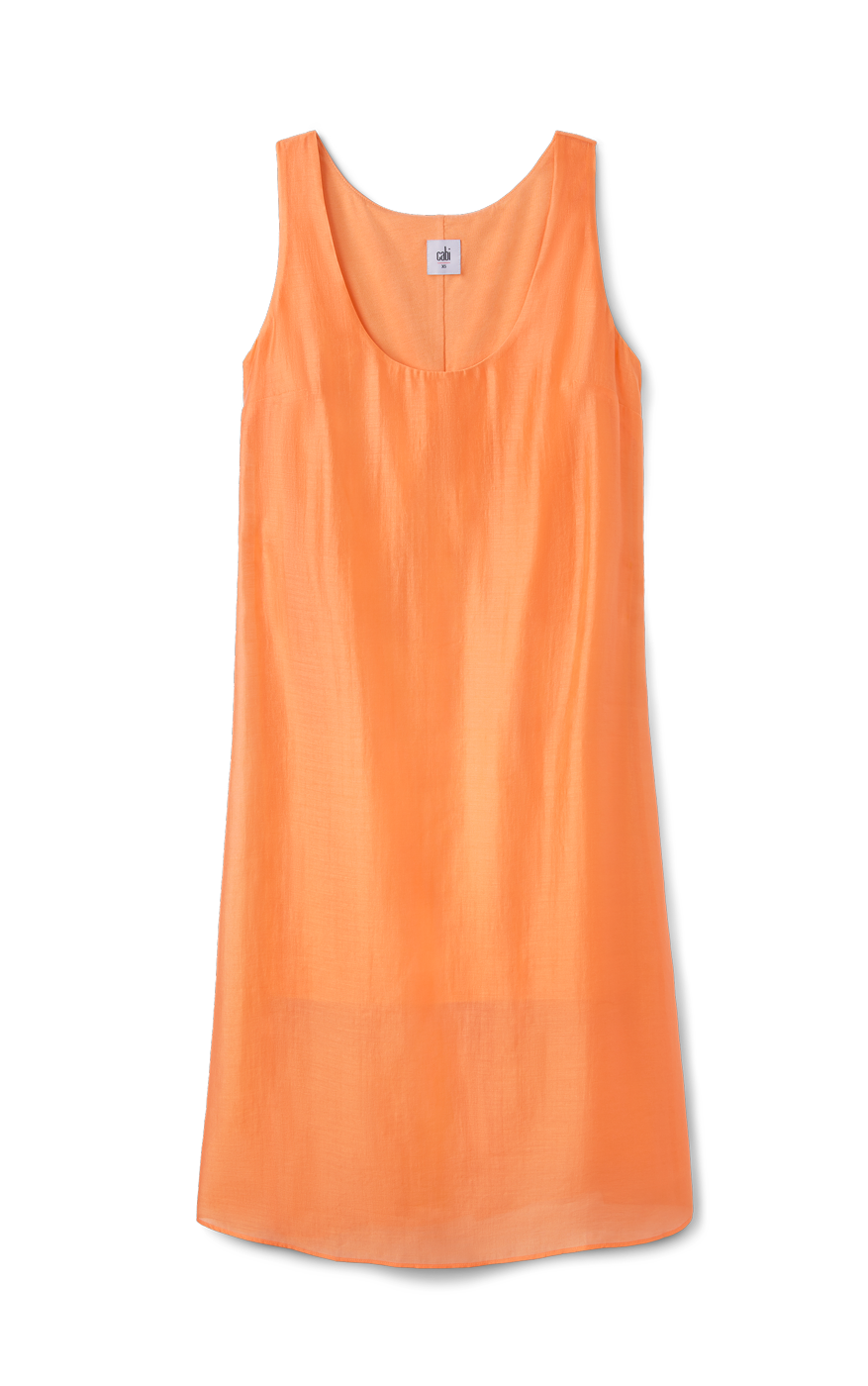 Glimmer Dress