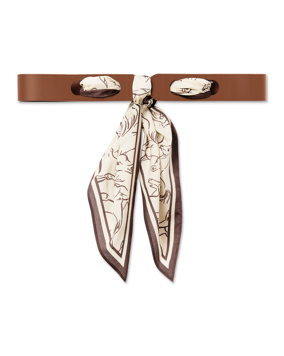 Cantor Belt