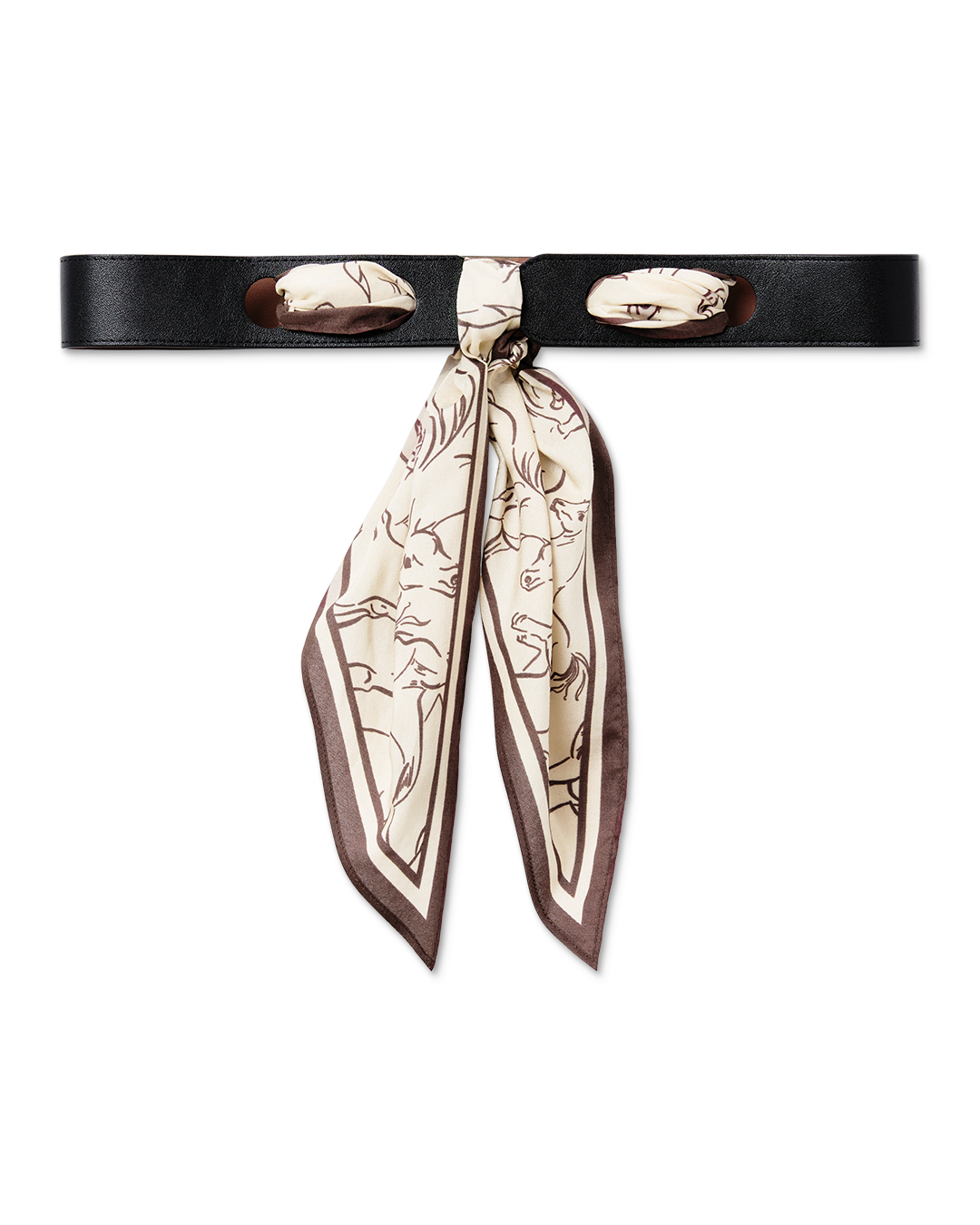 Cantor Belt