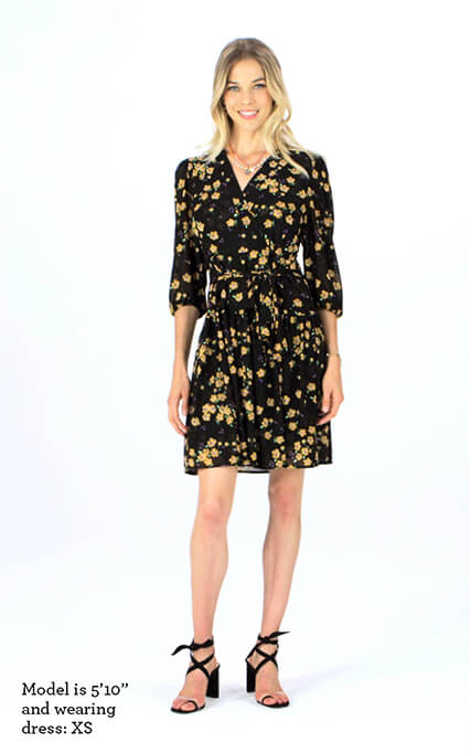 cabi dresses