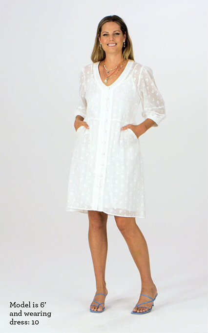 cabi dresses