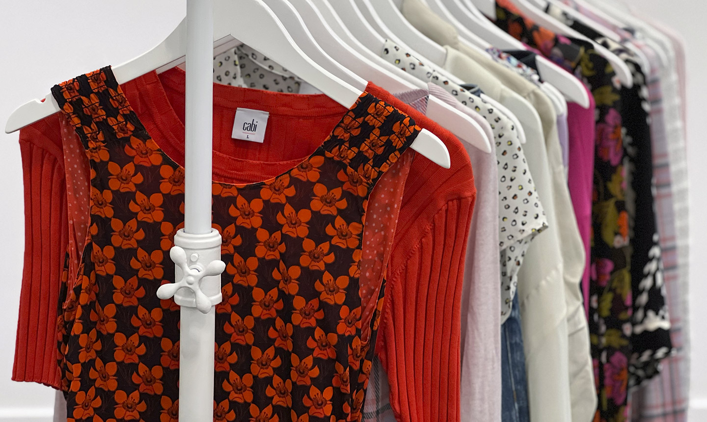 how to prepare for your first fashion Stylist session Cabi Fall 2024